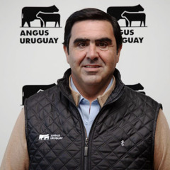 Juan Pablo Frontini - Angus Uruguay