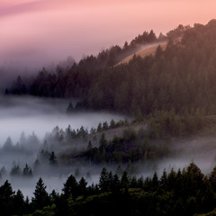 Juice Wrld x Drake Type beat - Keep ya Head Up (prod.by East Rock )