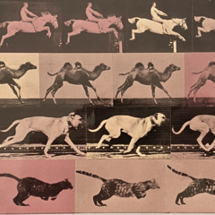 JPS_Trud’is Birthday Bash 2021.01.30