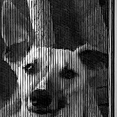 0030