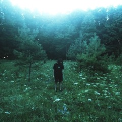 plasticheart