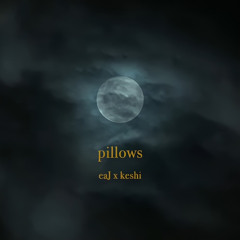 eaJ x keshi - pillows