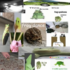 Frog Dance (Clip) [Out Now on Interim V]