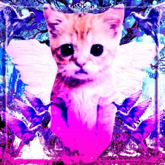 💖 Cats N Butterflies 🦄(Proxoxie Mix)