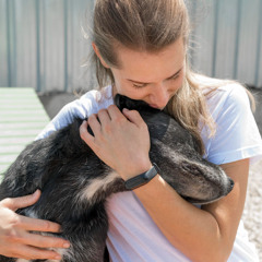 What is a Psychiatric Service Dog (PSD)?