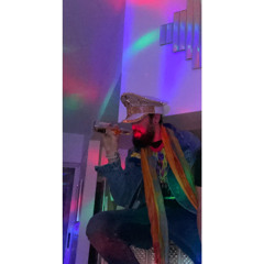 for my house bitches