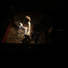 وجدي كما الي ماتريّح بدنياه .