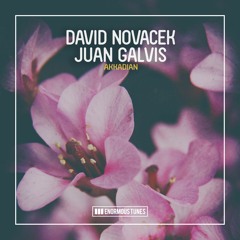 DAVID NOVACEK & JUAN GALVIS - Akkadian [ENORMOUS TUNES]