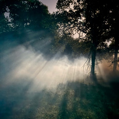 mpthy @ edena festival 2025