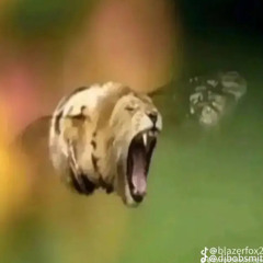 blur - riffwood
