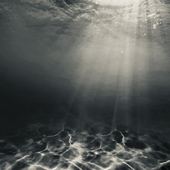 백산호(sketch, iphone recorded)