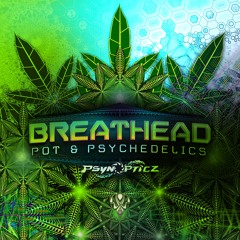 Breathead vs Active Forms - Chicken Dinner (Original Mix) / PsynOpticz Records