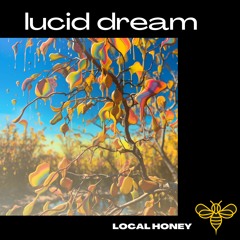 lucid dream