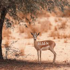 عبدالمجيد عبدالله (شطن بي الغزلاني)