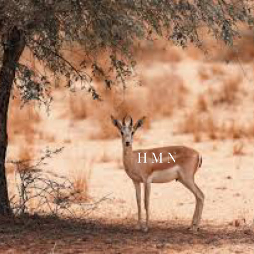 عبدالمجيد عبدالله (شطن بي الغزلاني)