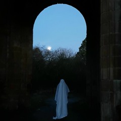 i wish you were the moon