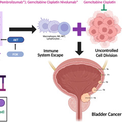 New Drug Combination Redefines First-Line Treatment for Advanced Urothelial Cancer