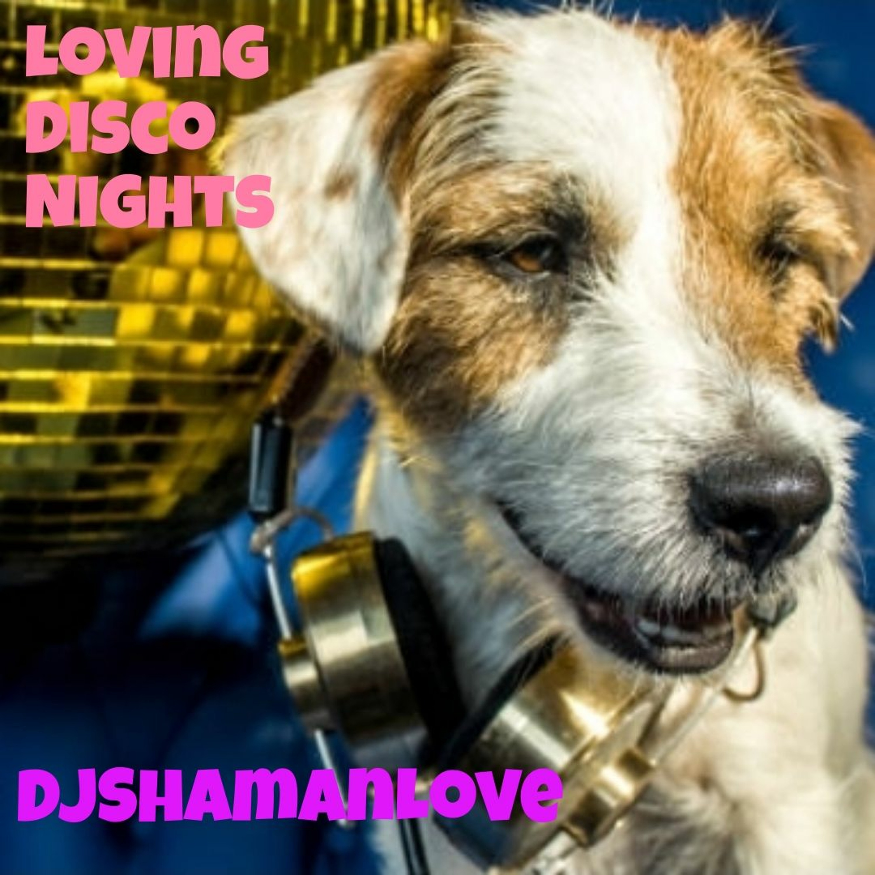 DJShamanLove