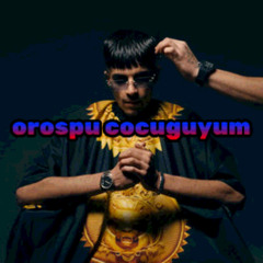 CEVO & ZUNA - UNTITLED