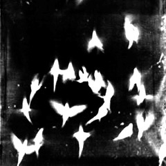 Tefflon + Crook - going [Prod:Patrick + Mightbejohn] @DJPHATTT EXCLUSIVE