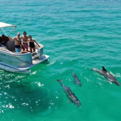 Review Special Price Miami Beach Sightseeing Yacht Cruise: Swim Sunbathe Byob