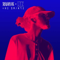 Madeon - The Prince (LFZ Remix)