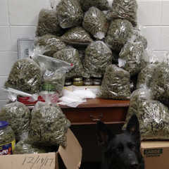 Exotics ft Tblanco & loudteep