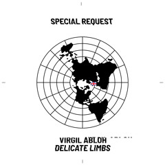 Delicate Limbs (Special Request Remix) [feat. serpentwithfeet]