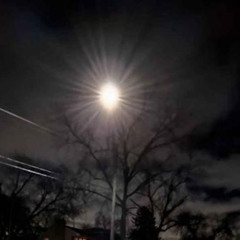 lifeless_hollow_took