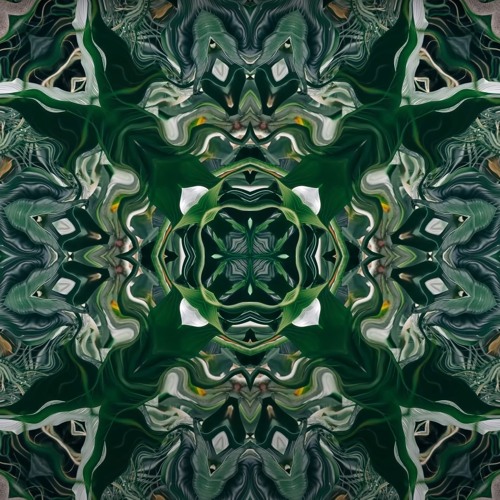 Path - Meditative Session 2 (full track on bandcamp)