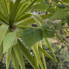 Ubb (N_ron's Wolf Mix 2023)