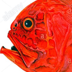 Groove Armada - Superstylin' (Orange Roughy's Broken Summer Remix) V2