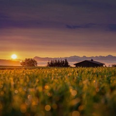 Allow the reiki to flow.aac