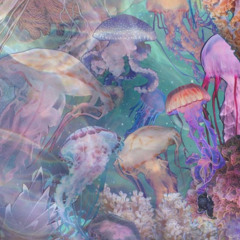 lo que elegiste/ paula prieto