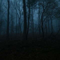 H-K-S - Deep Dark Forest