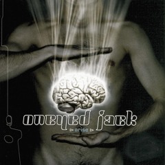 Will I Arise? (feat. Ethnician & Igor Nikitinski)