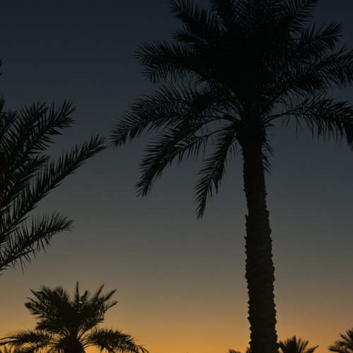 رمادي ليه في حبك⁉️