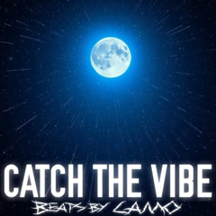 CATCH THE VIBE REMASTERED (SLOWER)