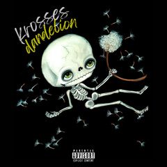 skellyruno - dandelion! (2024 krosses era)「sKeLLyFied! exclusive」