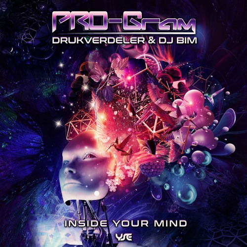 02 Mv01 PRO - Gram - Inside Your Mind (Drukverdeler & DJ Bim Remix)
