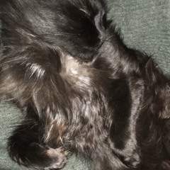 Hang music for your relaxation