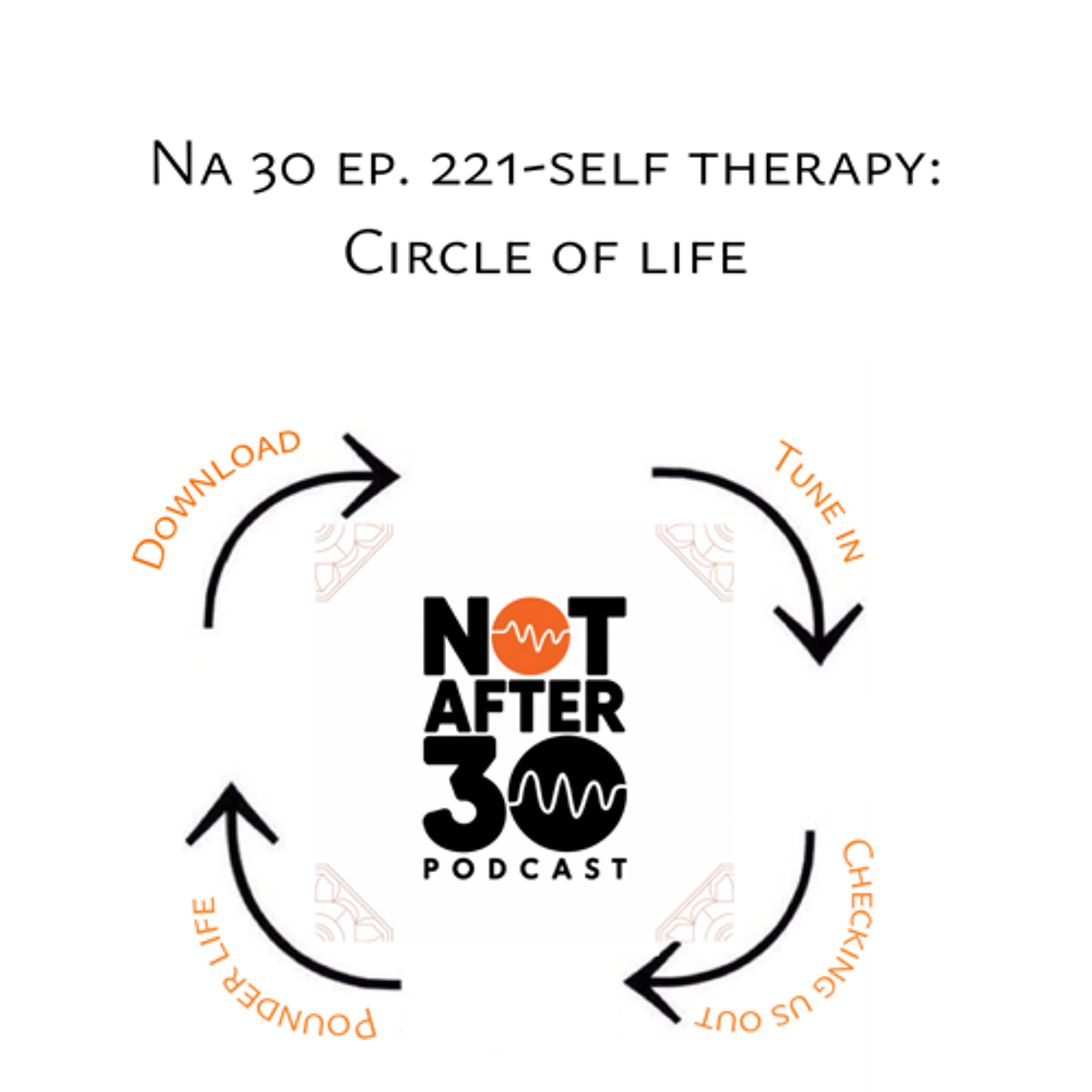 NA 30 Ep. 221- Self Therapy 2025 circle of life - 2025-02-04, 10.32 AM NA 30 Ep. 221- Self Therapy 2025 circle of life - 2025-02-04, 10.32 AM