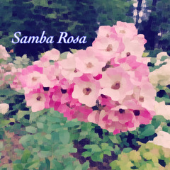 Samba rosa