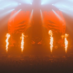 Dragonfly - Benito Rose - Nova 2021