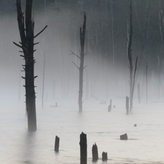 Endless Maze Of Mist [Dungeon Synth]