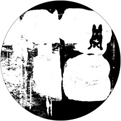 A2 Neem - Not Stand The Flag