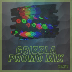 GRIZZLA - PROMO MIX {2022}