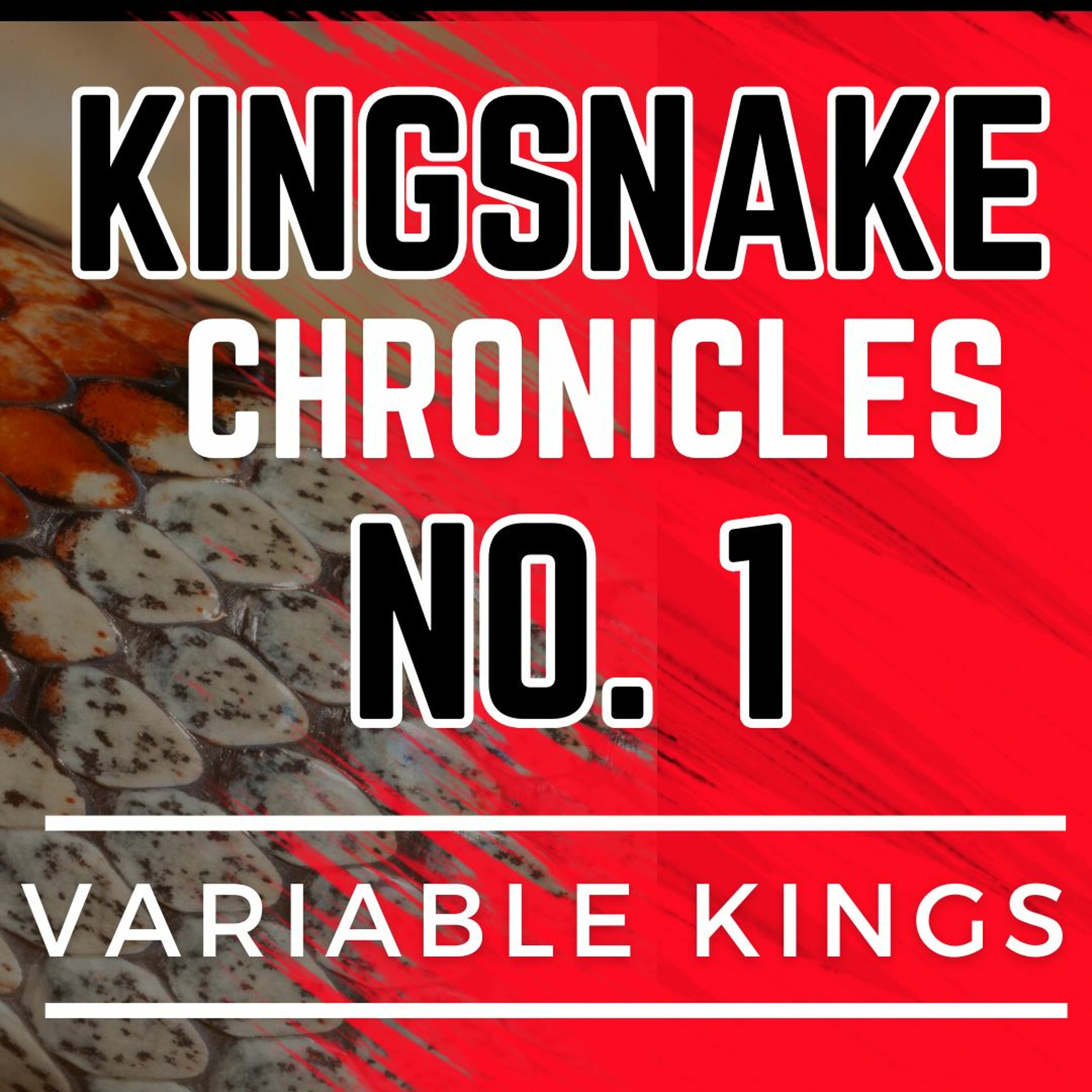 Kingsnake Chronicles  #1 - Leonis with John Lassiter