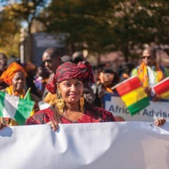 What should the new Norwegian Africa strategy contain and what role should the diaspora play?