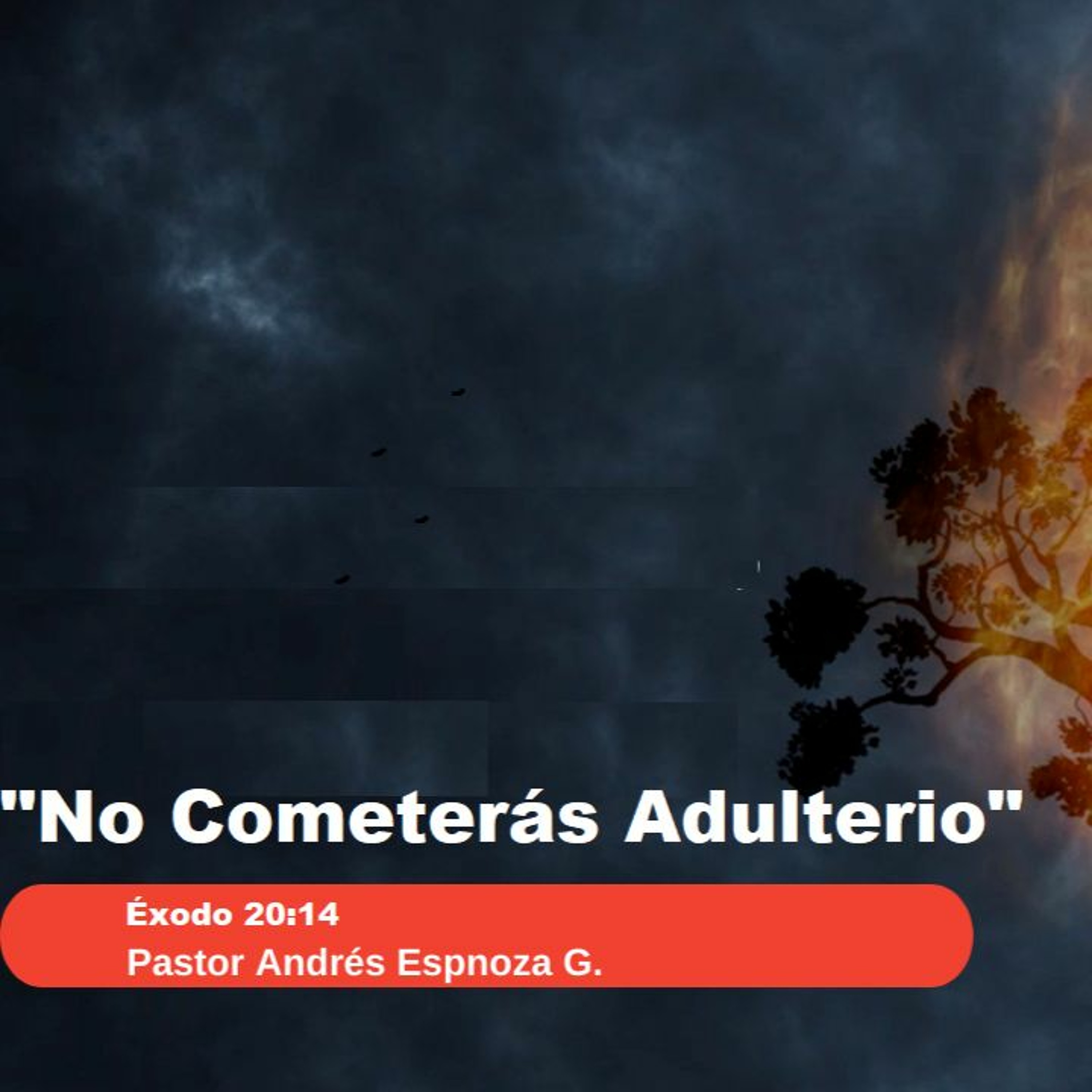 No cometerás adulterio (Versión español) episode artwork